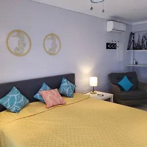 https://den-laman-balloonfish.comcaribbean.com